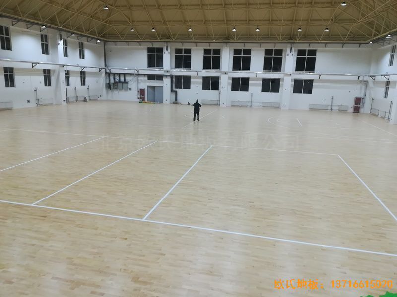 ɽ�|��(j��)�Ϛv�ǅ^(q��)С�W(xu��)�w��ľ�ذ尲�b����