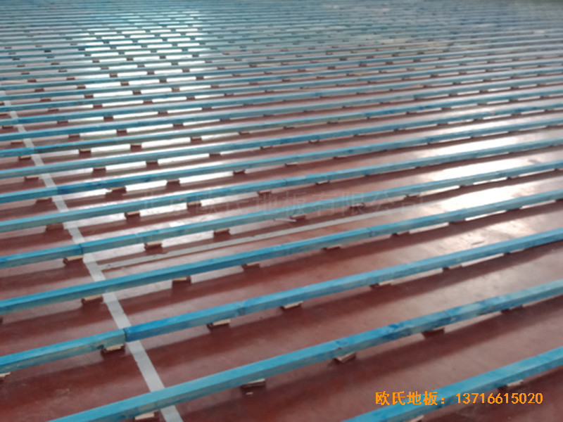 �ӱ������w���W(xu��)���@���^�w��ľ�ذ���O(sh��)����1