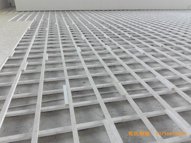 ������ꖵ�ʮ���ЌW(xu��)�w���^�w��ľ�ذ���b����1