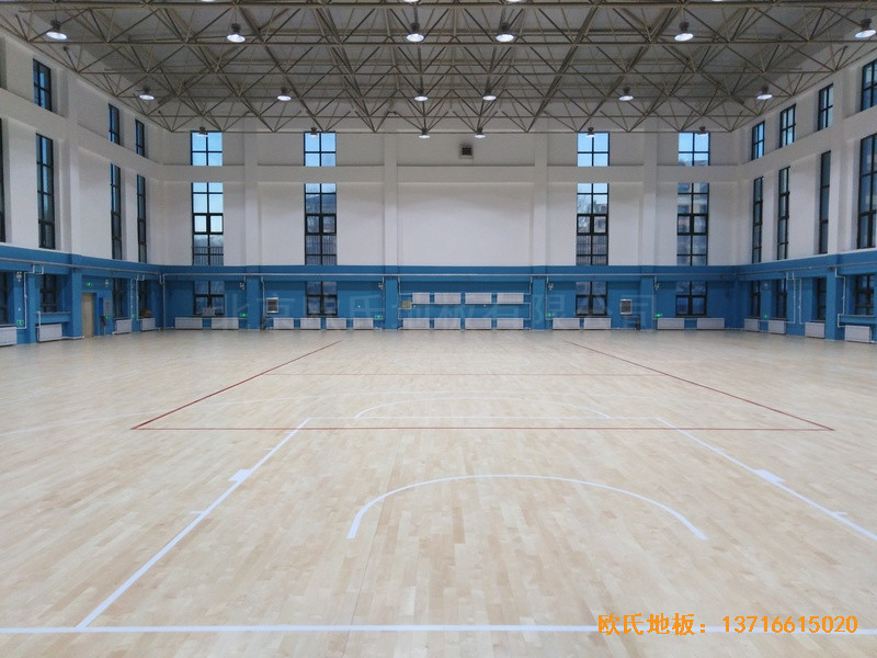 ���ɹ����m���I(y��)�WԺ�@���^�\��ľ�ذ尲�b����5