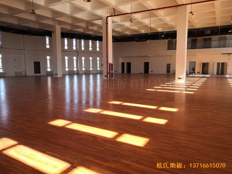 ������ɽ�L(zh��ng)�(y��ng)С�W(xu��)Ӗ(x��n)���^�w���ذ���b����2