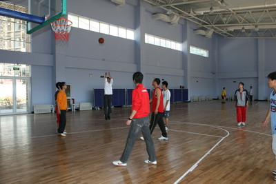 室內運動木地板 室內運動木地板