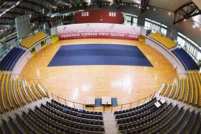 體育運(yùn)動地板 體育運(yùn)動地板