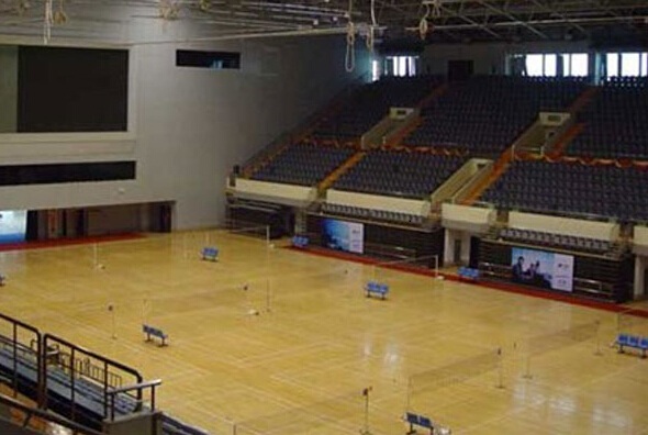 運(yùn)動(dòng)木地板 運(yùn)動(dòng)木地板