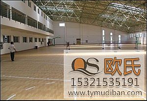 ʲô���҃�(n��i)�\�ӵذ壿�҃�(n��i)�\�ӵذ����������