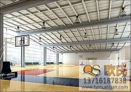 室內(nèi)運(yùn)動地板 室內(nèi)運(yùn)動地板