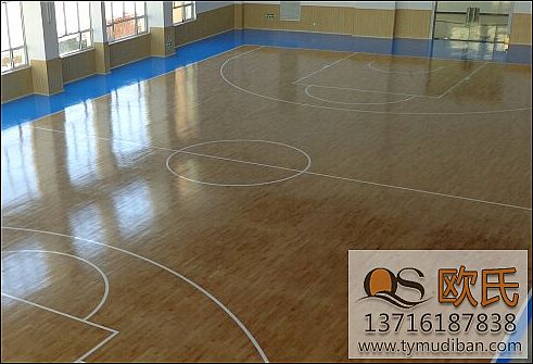 體育運(yùn)動(dòng)地板 體育運(yùn)動(dòng)地板
