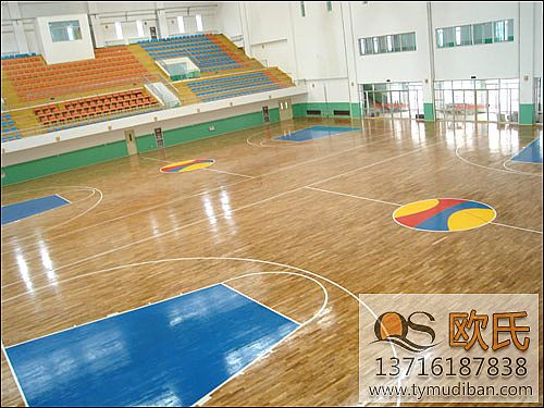 體育運(yùn)動(dòng)地板 體育運(yùn)動(dòng)地板