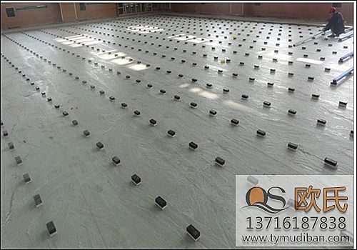 �w���\(y��n)�ӵذ�,��(sh��)ľ�\(y��n)�ӵذ�