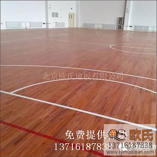 �w���^�\(y��n)��(d��ng)�@��ľ�ذ尸��-���Cʡ��������ЌW(xu��)�w���^