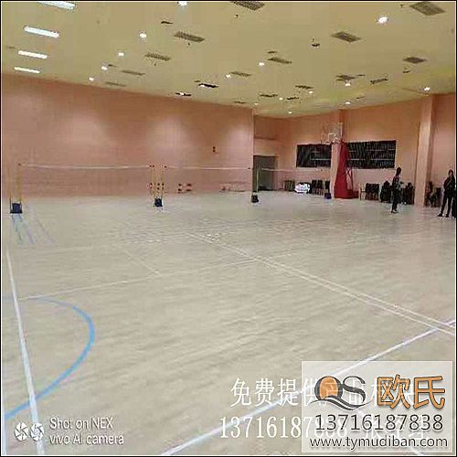 ������������·�|�������ǻ@���^�\(y��n)��(d��ng)�w����(sh��)ľ�ذ尸��