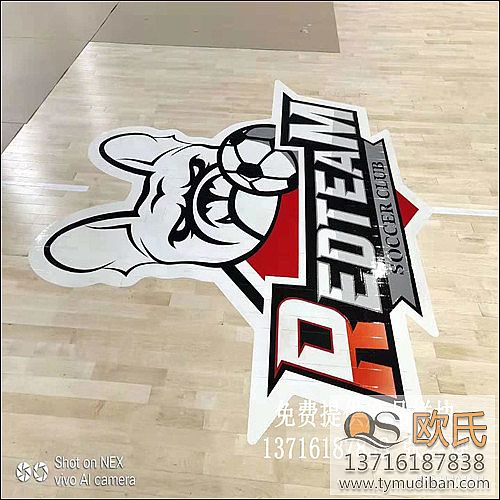 體育木地板,籃球場(chǎng)館運(yùn)動(dòng)木地板,體育運(yùn)動(dòng)木地板 體育木地板,籃球場(chǎng)館運(yùn)動(dòng)木地板,體育運(yùn)動(dòng)木地板