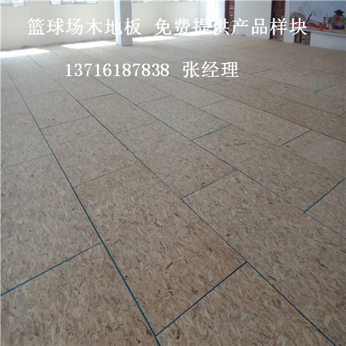 ɽ�|�@��?q��)�ľ�\(y��n)��(d��ng)�ذ�,ɽ�|�w���^�\(y��n)��(d��ng)�ذ�,ɽ�|�@���w��ľ�ذ�