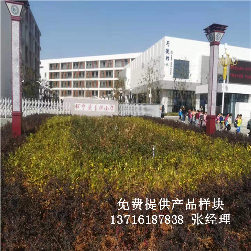 ���Ցь��ǹ�С���@����^�w����ľ�ذ尸����