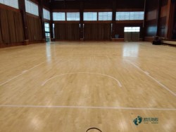 ����(bi��o)�\(y��n)��(d��ng)�w��ľ�ذ�S�҈�(b��o)�r(ji��)