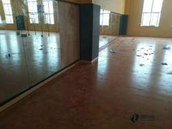 ���e(cu��)�w����(ch��ng)��ľ�ذ�S�҈�(b��o)�r(ji��)