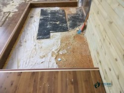 ��W(xu��)�\(y��n)��(d��ng)ľ�ذ屣�B(y��ng)֪�R(sh��)