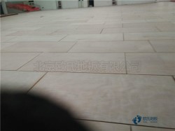 �������w�����^ľ�ذ��坍���B(y��ng)