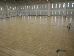 常用運(yùn)動(dòng)木地板環(huán)保