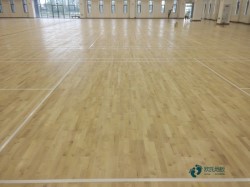 有哪些運動木地板清潔保養(yǎng)