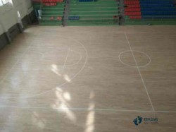 較好的體育運(yùn)動(dòng)木地板養(yǎng)護(hù)