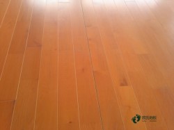 �^�õ��\��ľ�ذ��坍�B(y��ng)�o(h��)